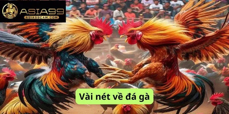 Vài nét về đá gà